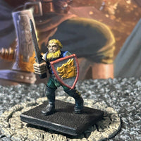 Human Fighter Sword Shield painted D&D Miniature Dungeons Dragons warrior guard