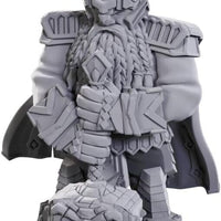 Male Dwarf Champion W23 Pathfinder D&D miniature Dungeons Dragons unpainted Z