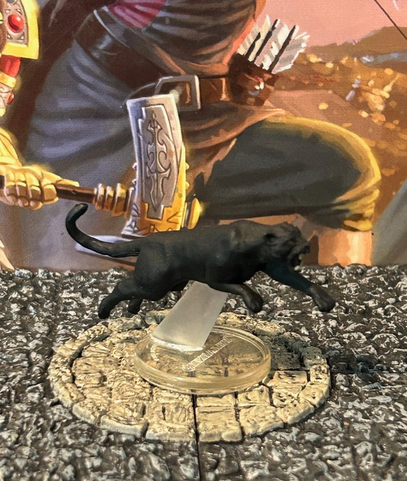 45234675