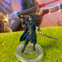 Molliver D&D Miniature Dungeons Dragons Valor's Call Witchlight rogue assassin Z