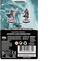 Human Rangers W22 2pk Nolzur's D&D miniature Dungeons Dragons unpainted rogue Z