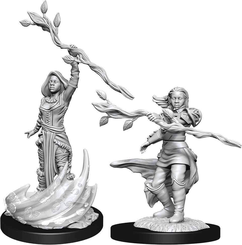 Female Human Druid 2 pack W14 Nolzur's D&D miniature Dungeons Dragons unpainted