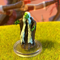 Green Hag D&D Miniature Dungeons Dragons Wild Shape Polymorph Summoned witch fey